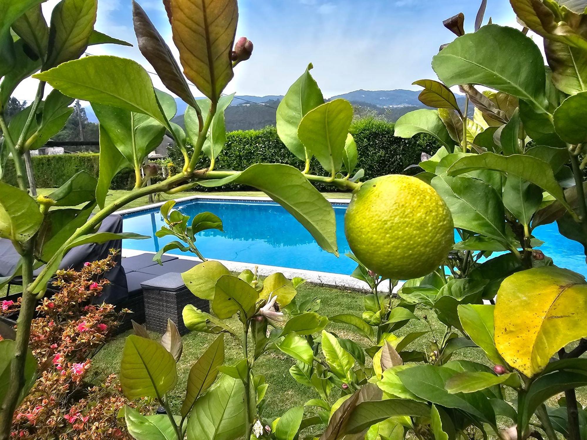 Solar Alegria Villa