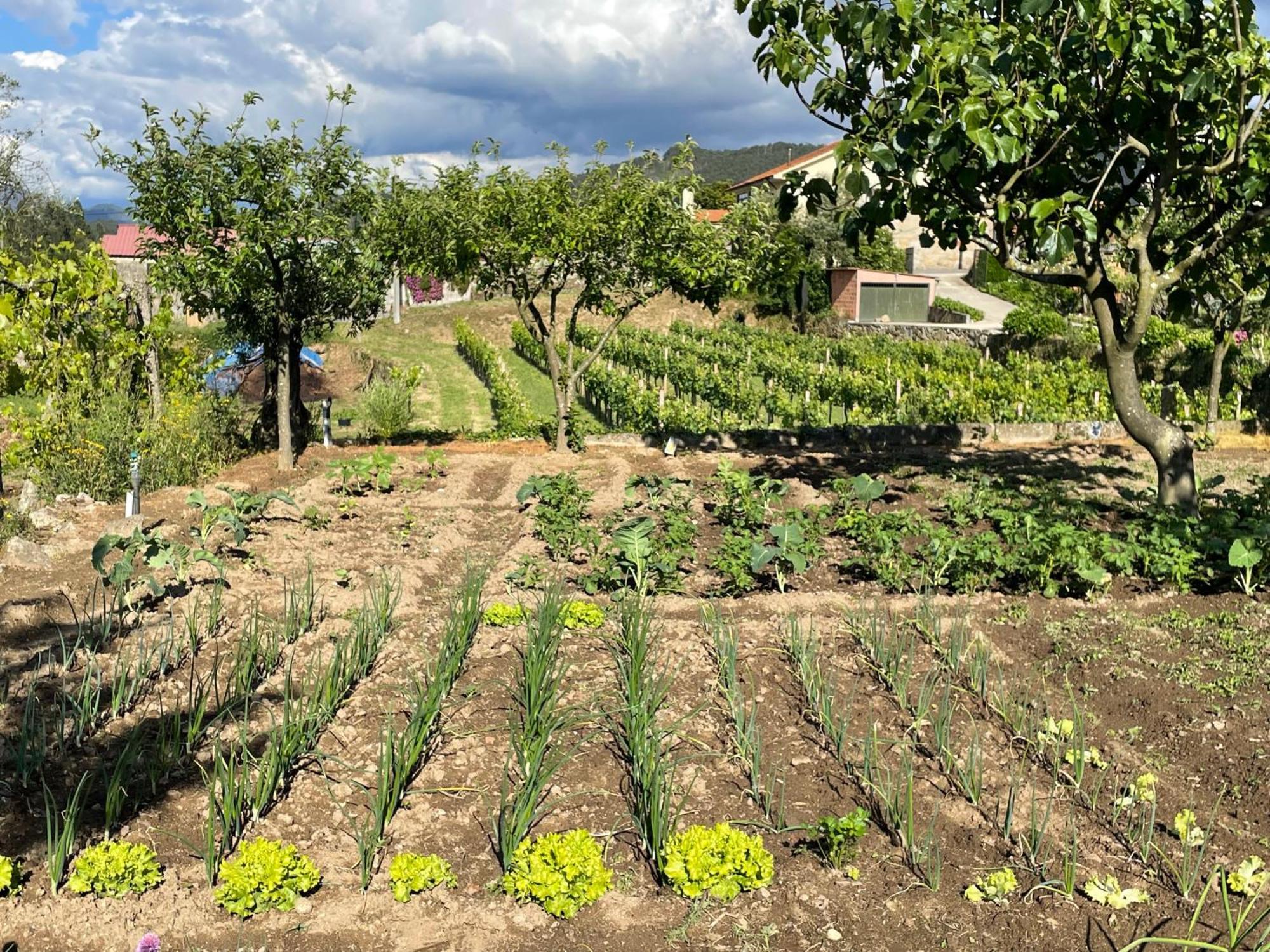 Solar Alegria Villa *
